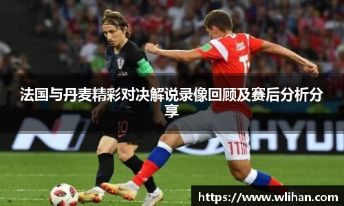 法国与丹麦精彩对决解说录像回顾及赛后分析分享